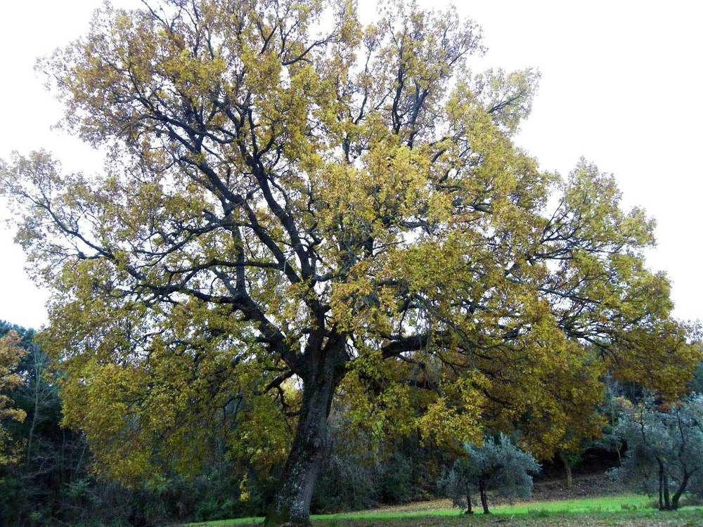 Prato A Baldo Villa Маса Маритима Екстериор снимка
